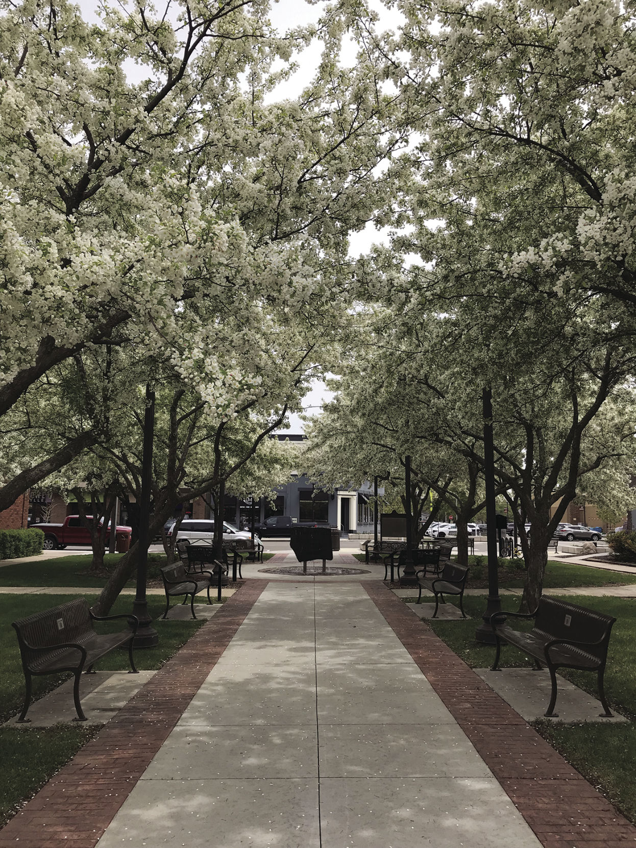 Downtown Lakeville Blossoming Lakeville Hometownsourcecom