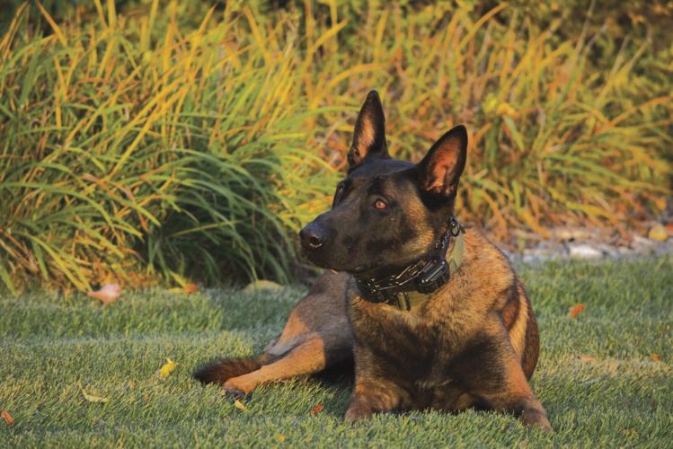 PHOTOS Coon Rapids hosts Night to Unite virtually Public Safety