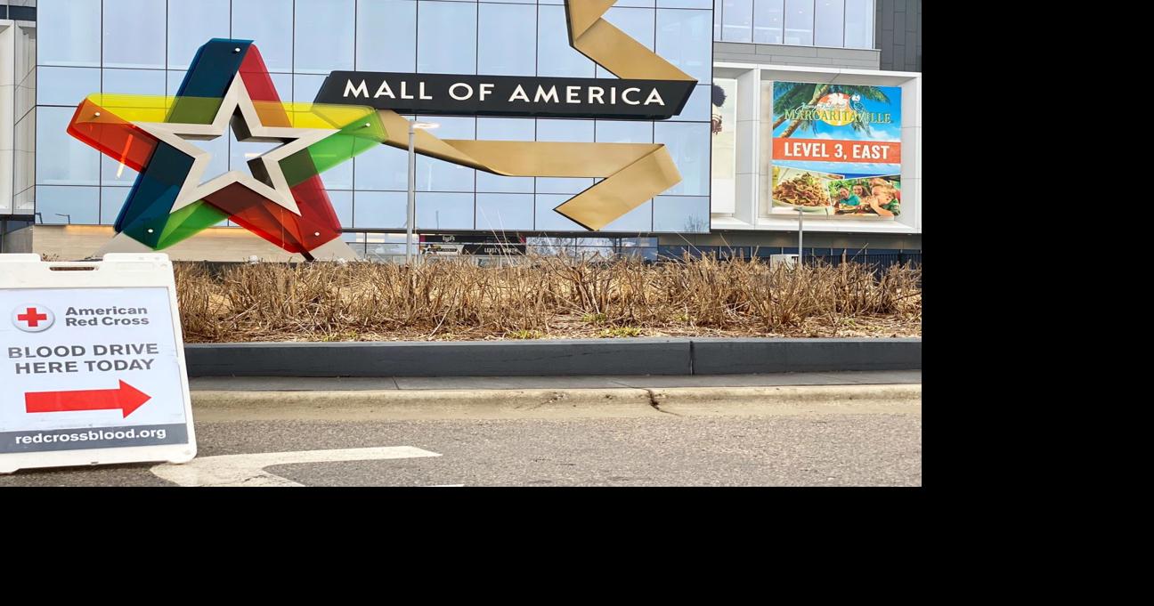 18-year-old was ‘100% committed' to carry out attack at Mall of America, fed reports
