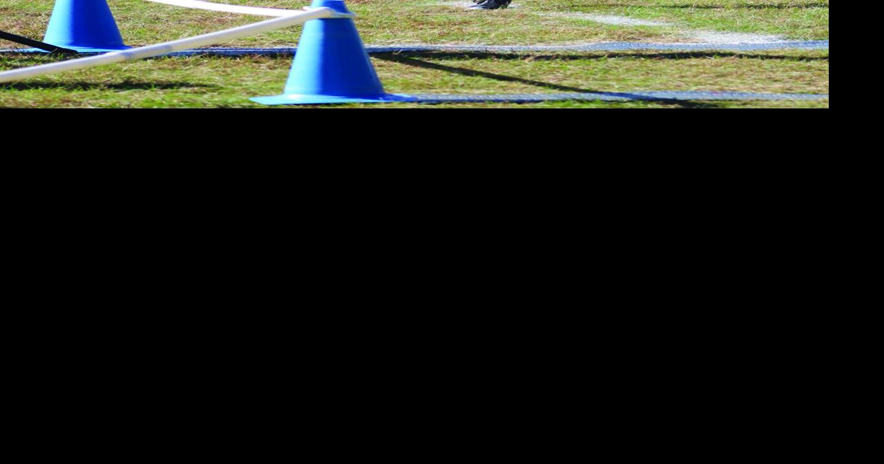 Jacobson earns 3rd straight state berth in cross country | Local News ...