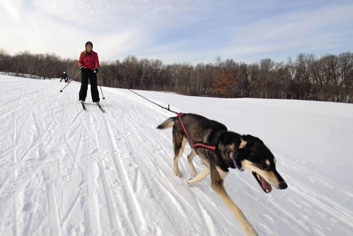 fw12nwSkijoringSnow.jpg