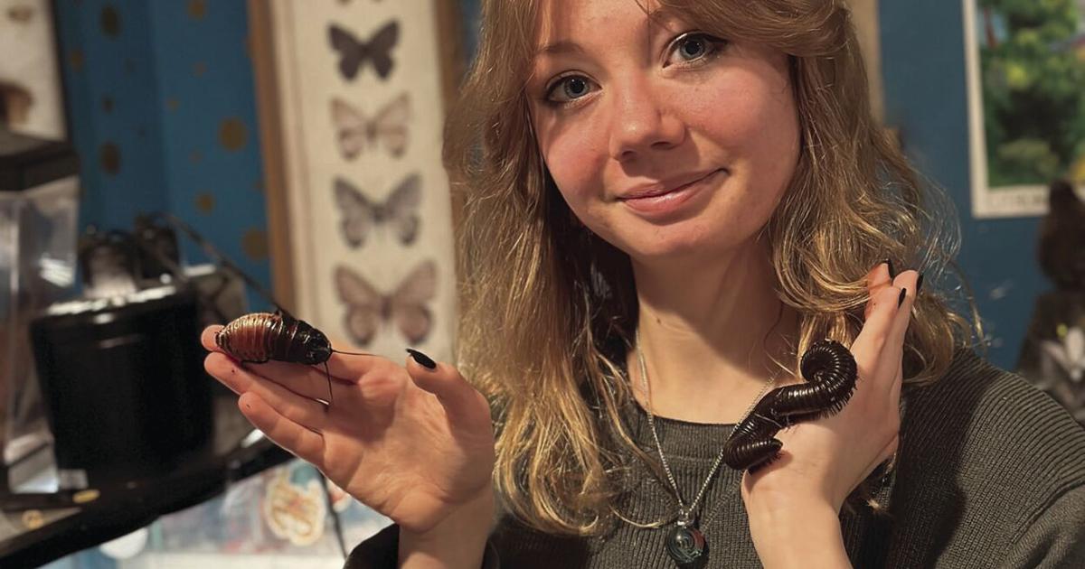 Emily Garces Insects Better for bugs: School of Environmental Studies student promotes ...