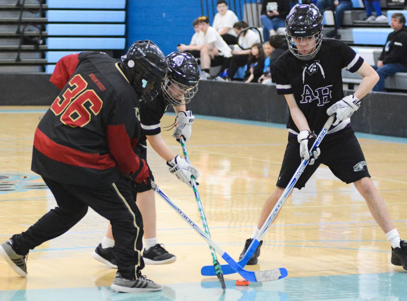 Adapted Hockey Anoka Hennepin Pi Ci Teams Compete At State Mustang Pi Earns 6th Place Andover Hometownsource Com
