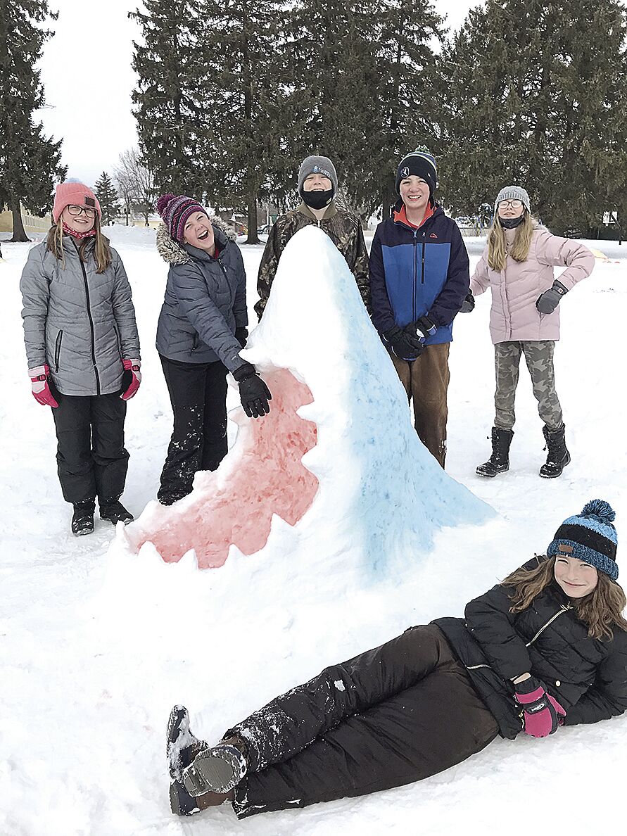 St. Mary's-Snow Shark