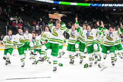 Braves head to hockey regionals with 9-9 record  News, Sports, Jobs - The  Pierce County Tribune