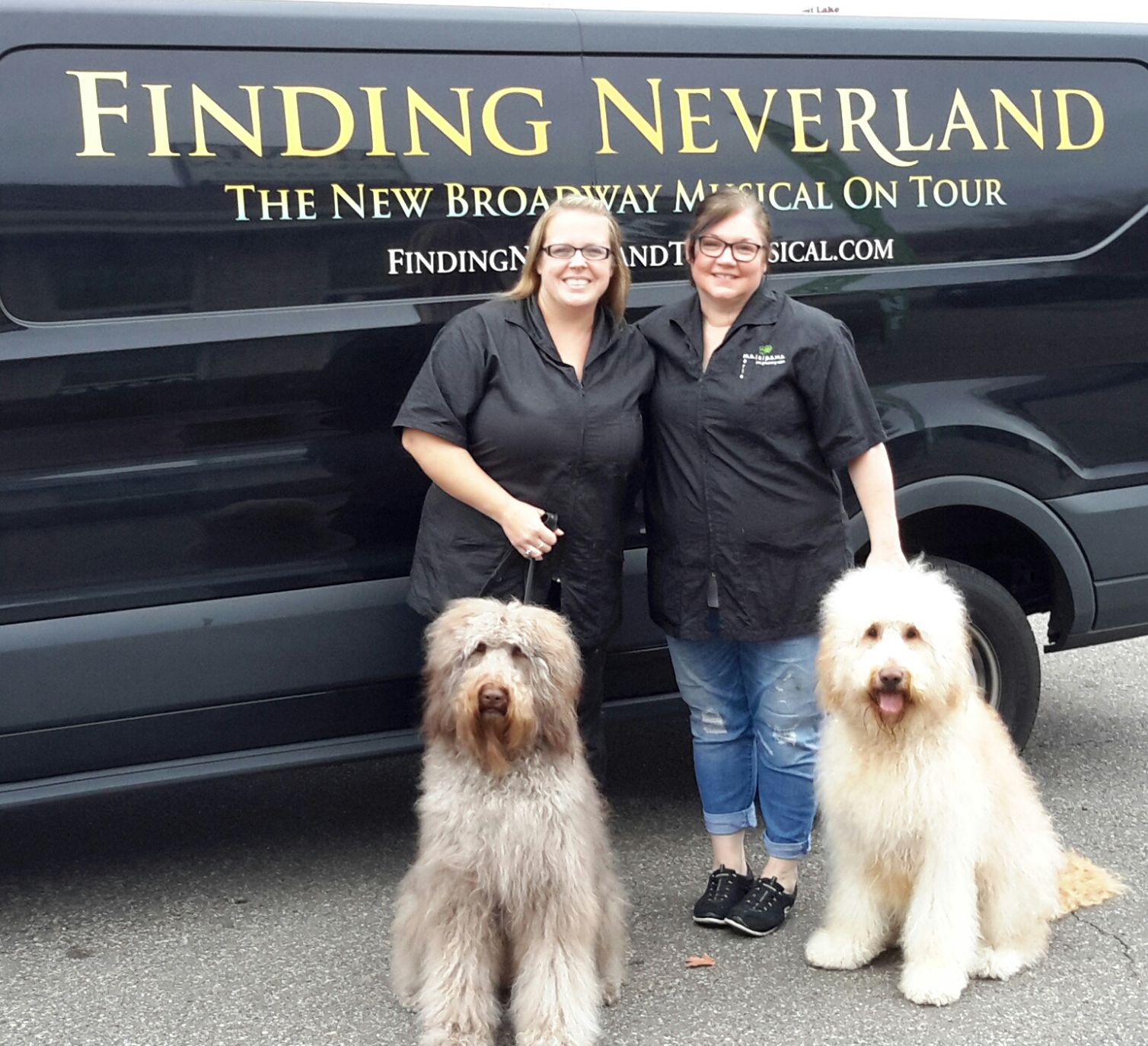 Finding sales neverland dog