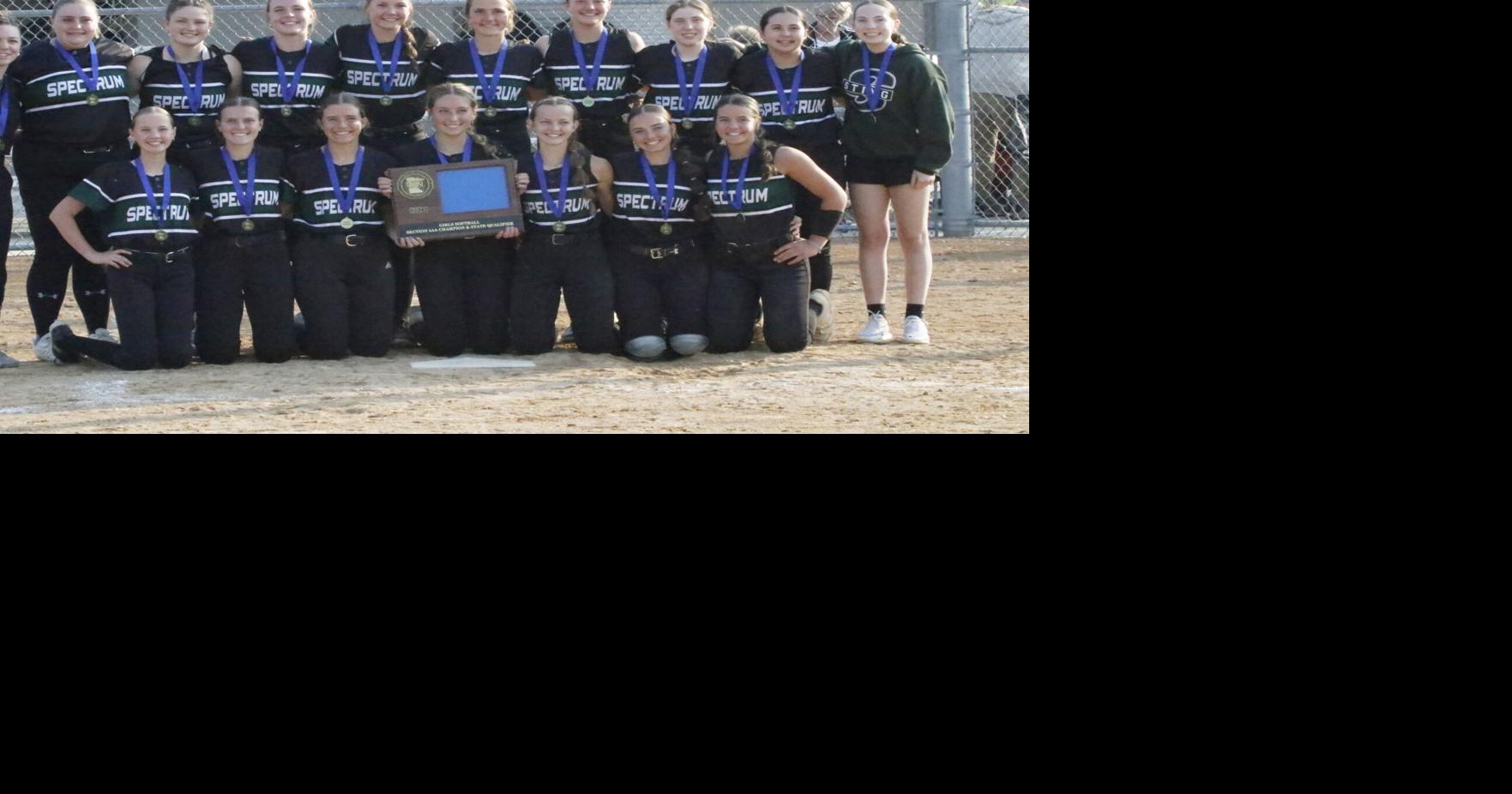 Spring Sports Preview 2026: Sting softball ready for another long ...
