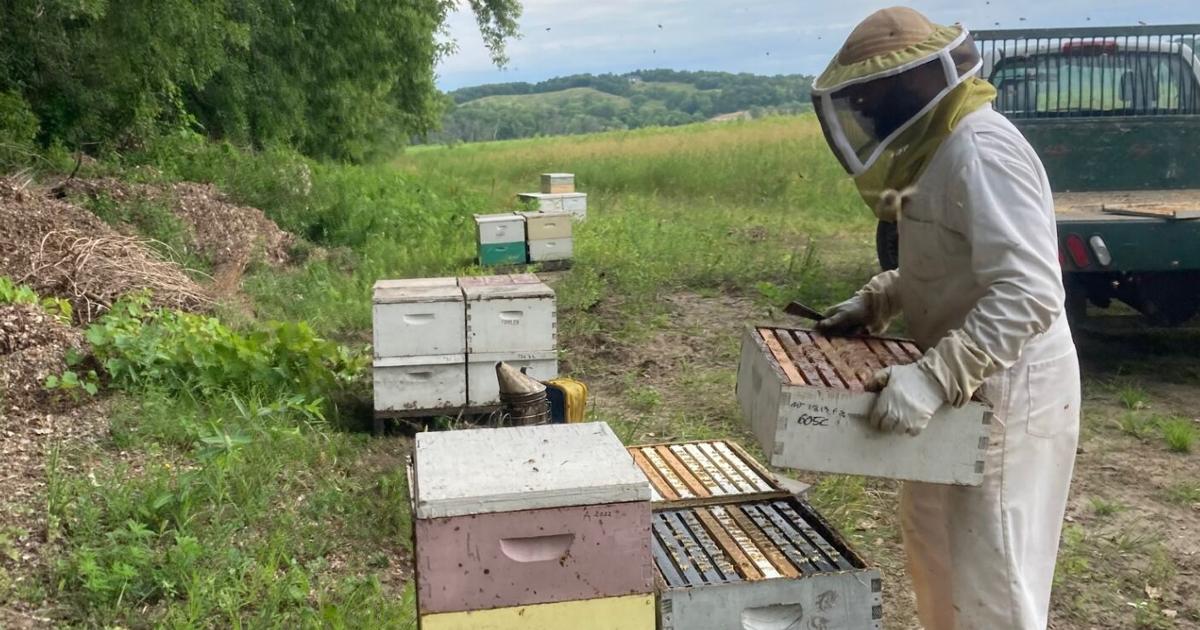 Pollinators Vip Beekeeper demonstrates passion for pollinators | Community ...