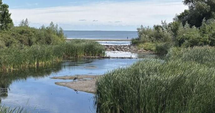 How’s the Water - Another hot and dry summer