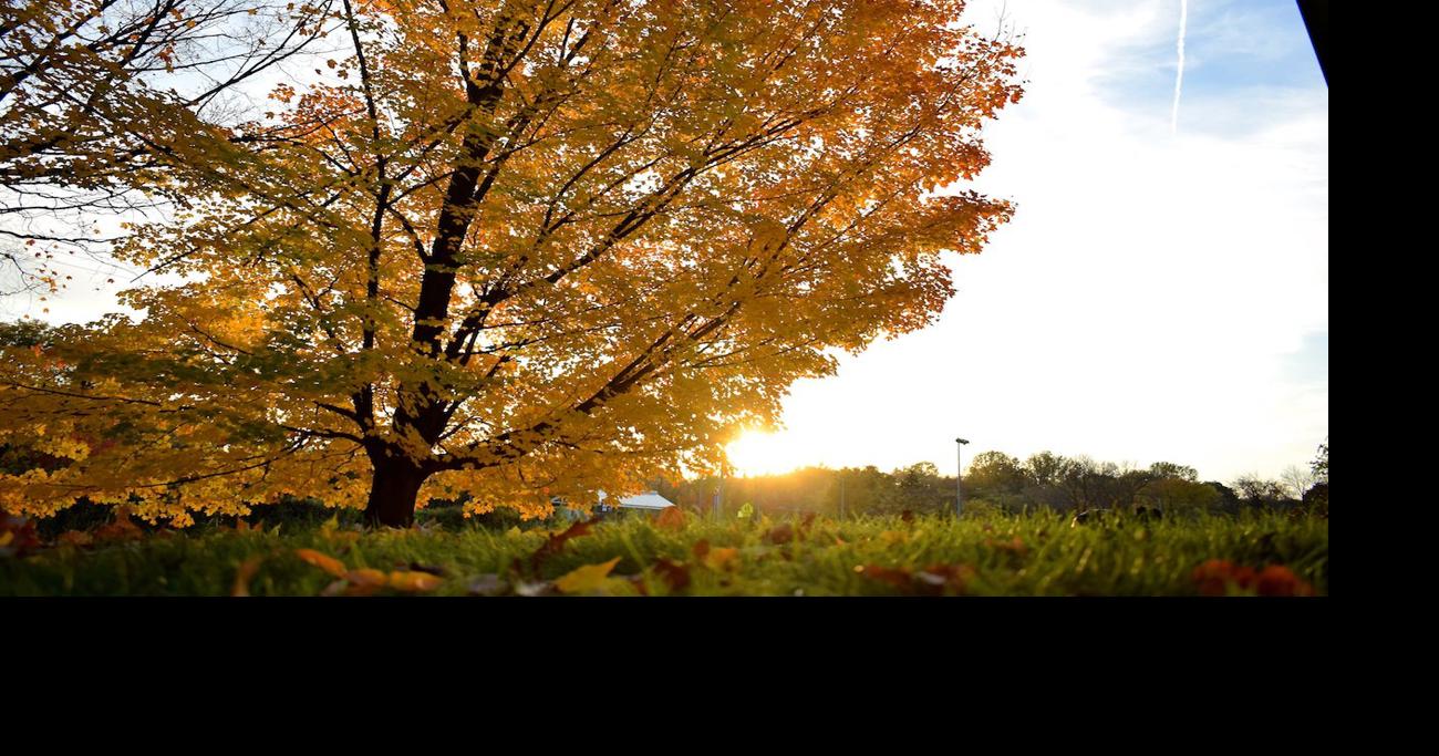 PHOTOS Fall colors light up Wayzata Photos & Video