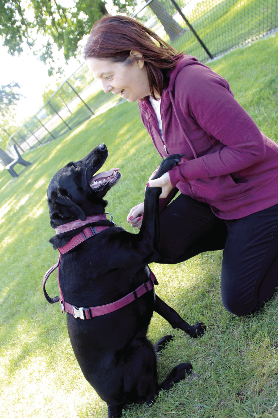 Isanti Dog Park opens Free