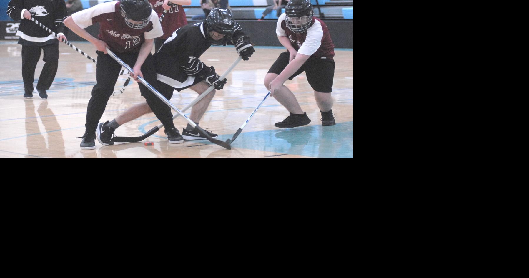 State adapted floor hockey returns to Jefferson, March 17-18, Bloomington