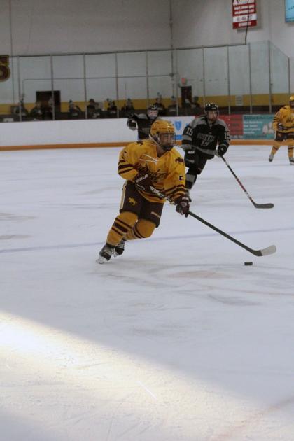 Forest Lake Hockey Squads Win Over All Sports Hometownsource Com