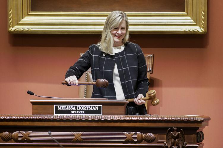 House backs bill to rename solar program for Hortman | Blaine ...