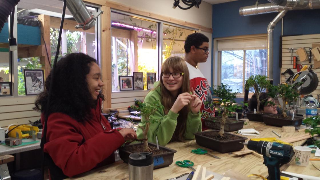 Rooted In Learning Charter School Bonsai Program Expands Education Hometownsource Com