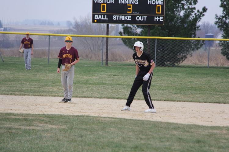 Caledonia baseball secures home wins Sports