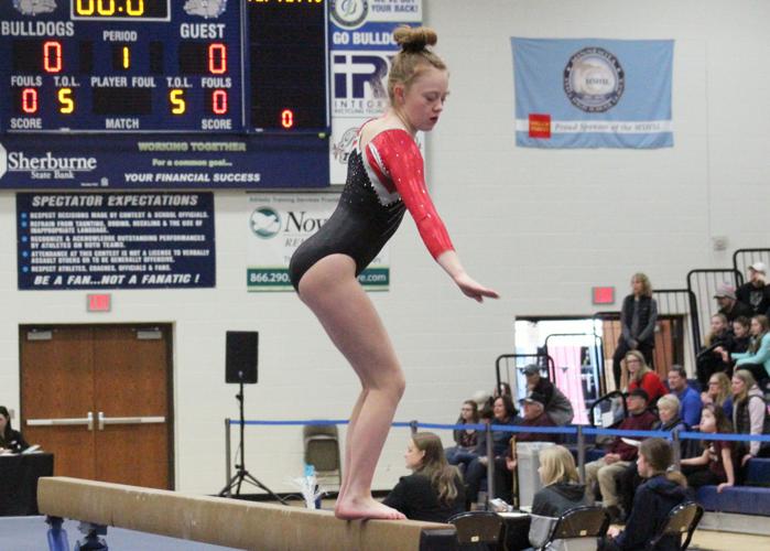 Wrestling, gymnastics teams have section meets Free