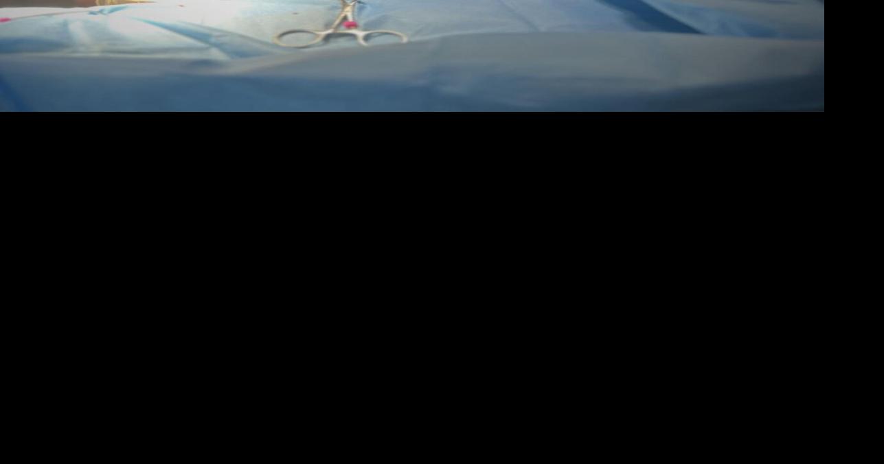 Pierz veterinarian fulfills lifelong dream of opening her own practice