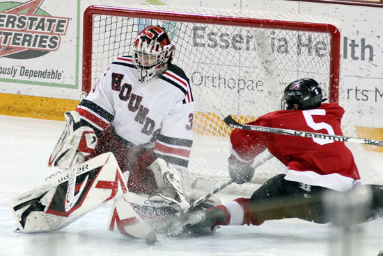Hockey: Elk boys give top-ranked Duluth East a battle, but are ousted 4-2