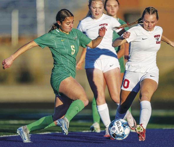 Four favorites win in state girls soccer | Sports | hometownsource.com