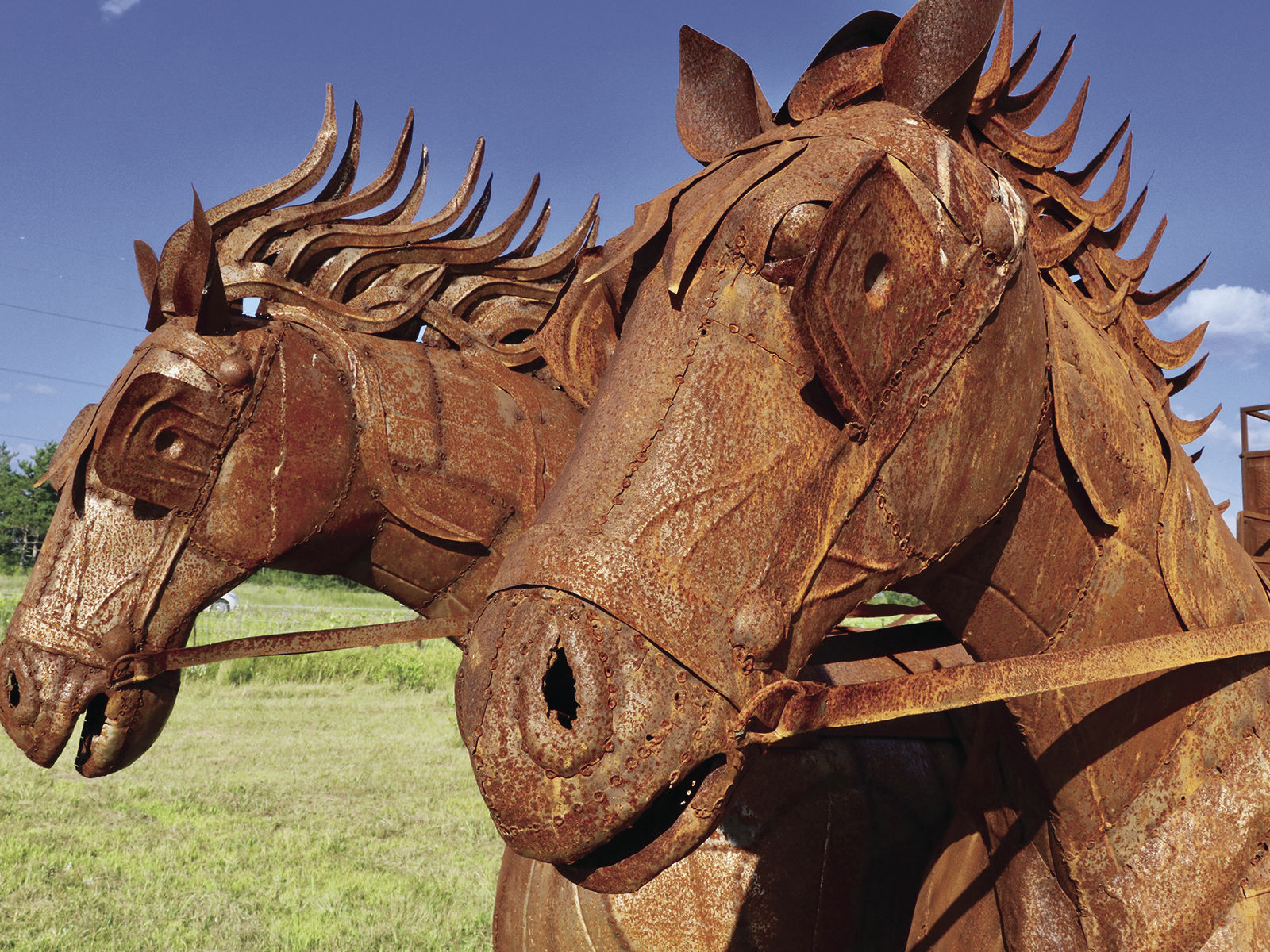 Horses and stagecoach turning heads along I-94 | Local News