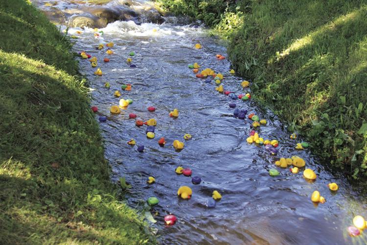 Derby Days of Bayport Bayport