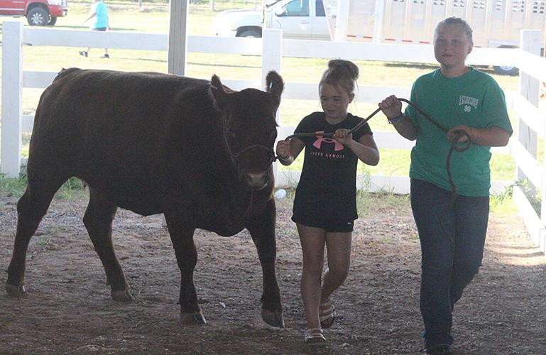 2022 Morrison County Fair Opening Night Photos & Video