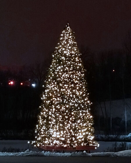 Rvc 2022 Christmas Tree Lighting All Welcome To Eagan Community Tree Lighting On Dec. 7 | Eagan |  Hometownsource.com