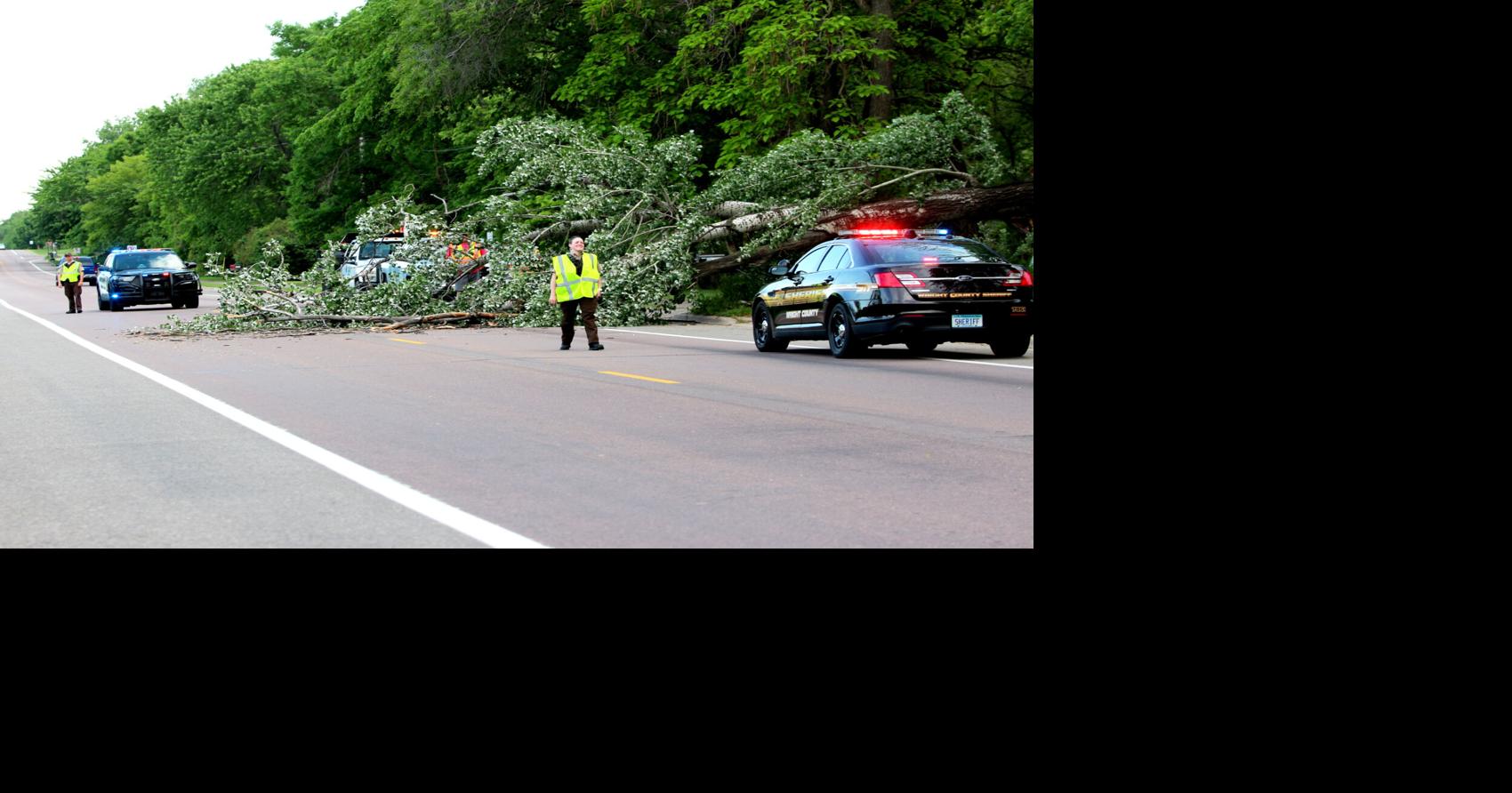 Dead tree falls across Parrish Avenue Elk River Star News