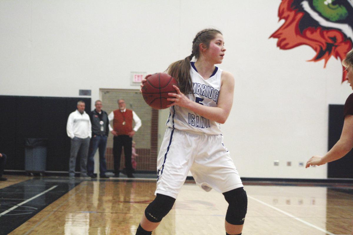 Cambridge Isanti Girls Basketball Falls Short In Section