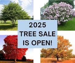 Swcd Tree Sale Dakota SWCD Tree Sale open April 24-25 | Free | hometownsource.com