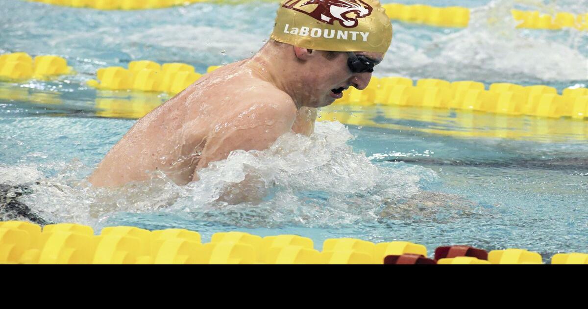 Swimming Lakeville athletes shine at state
