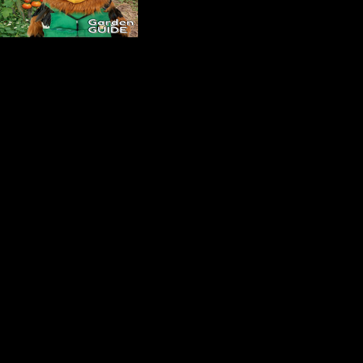 Garden explorers theme brings summer reading fun to Stillwater Public Library