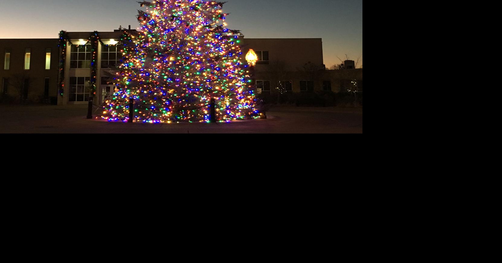 Anoka lights Christmas tree without fanfare Free