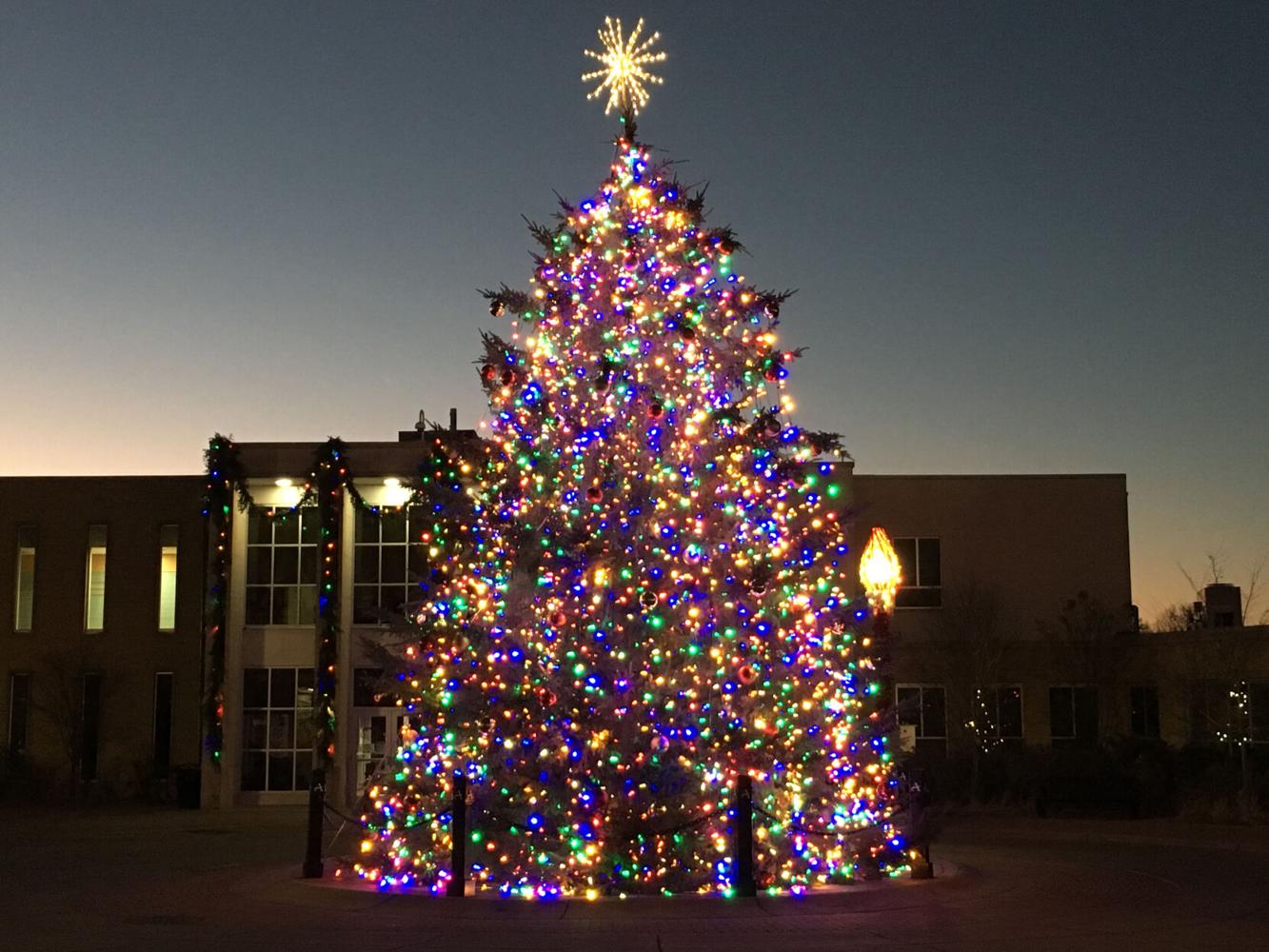 Anoka lights Christmas tree without fanfare Free