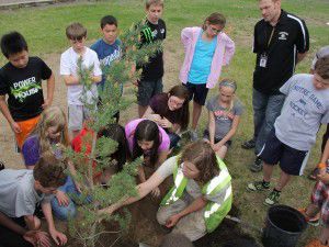 Andover students plant for the future
