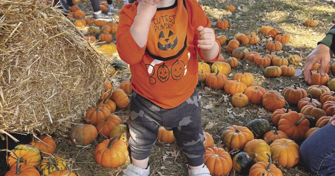 Anoka Haunted House entertains kids at Fall Festival before ramping up ...