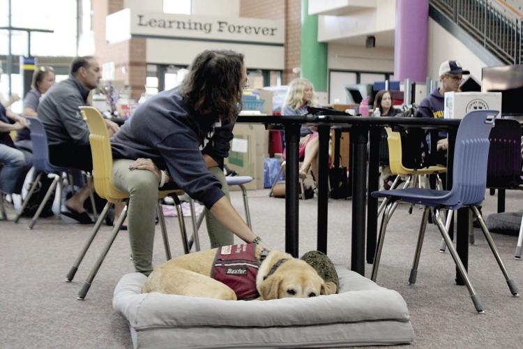 In memory of the dog that 'pawsitively' impacted Lakeville and beyond