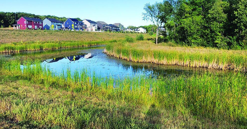 Caring for your local neighborhood pond