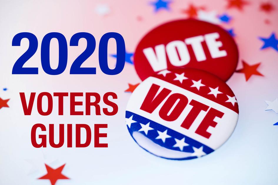 Edina City Council Voter S Guide Community Hometownsource Com - avenue citys voting square roblox