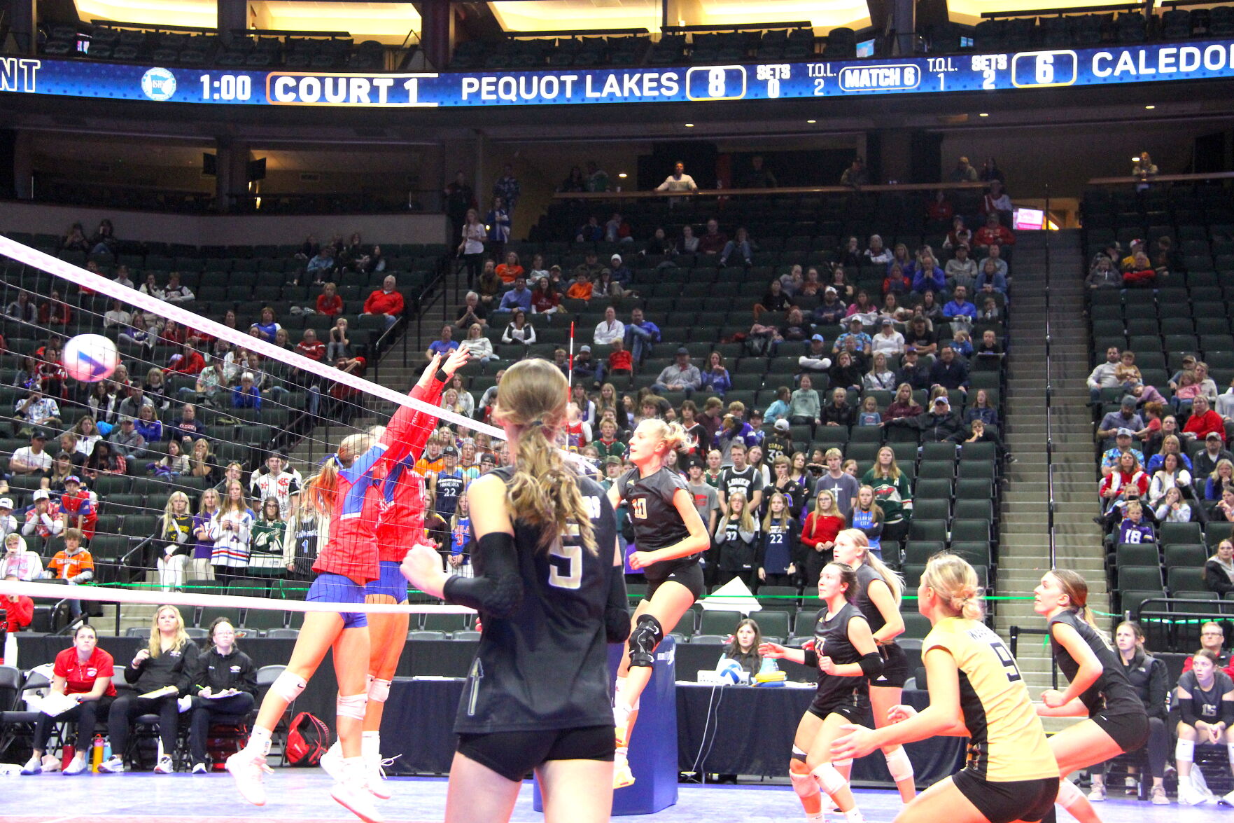 Caledonia Area volleyball heads to state 3rd-place match after semifinals loss
