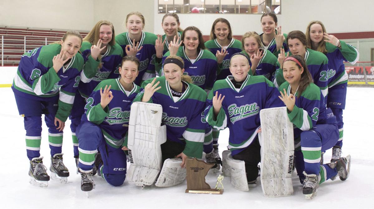 Farmington, Eagan teams earn trophies in Minnesota Hockey tourneys Sports
