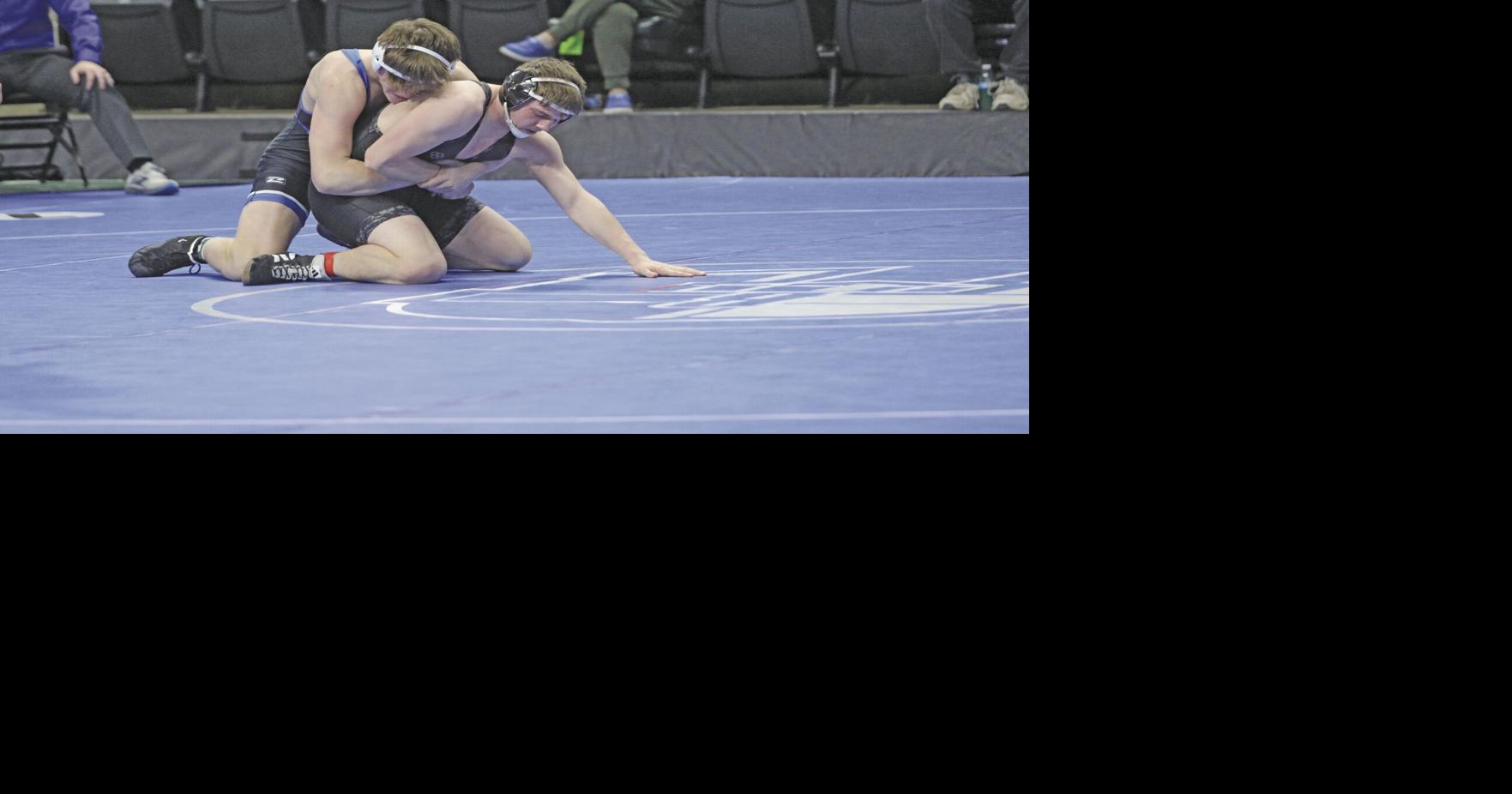 Tigers make moves, take medals at state meet