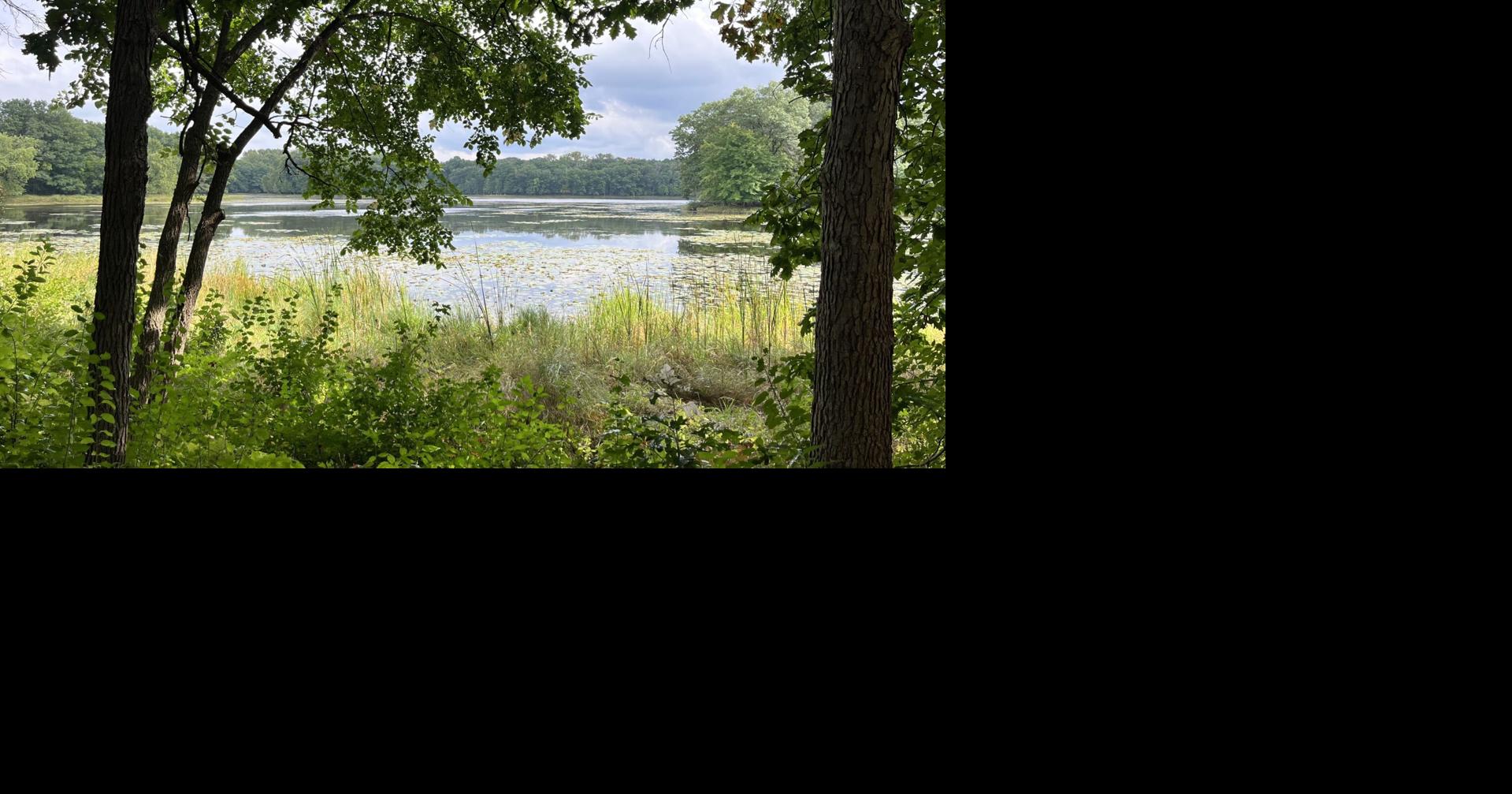 Plants tell the story of a lake in recovery