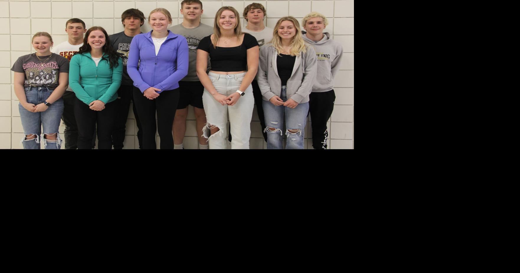 Junior prom court announced in Caledonia Community hometownsource com