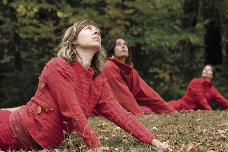 Fall Sound Garden will provide ‘opportunities for serendipity’ in St