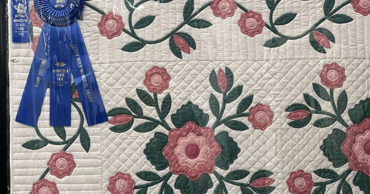 PHOTOS: Edina artists win State Fair ribbons