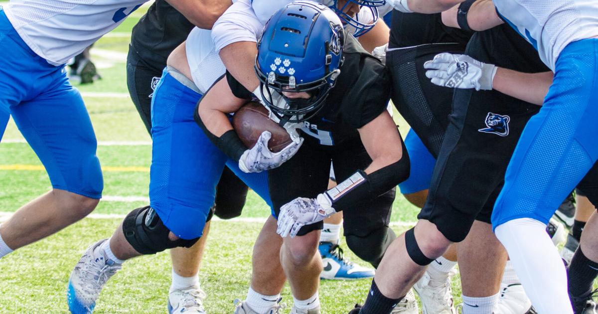 Lake Ridge Royals Royals 22nd season closes with loss to Spring Lake Park | Rogers ...