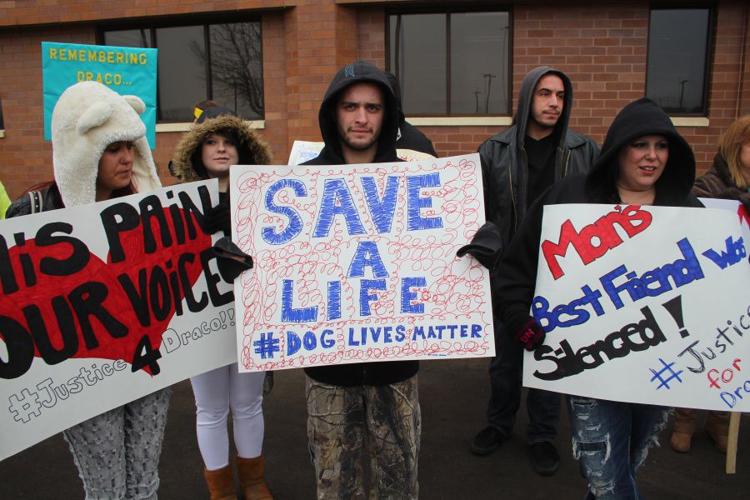 Animal advocates demonstrate alleged dog killer appears in Sherburne