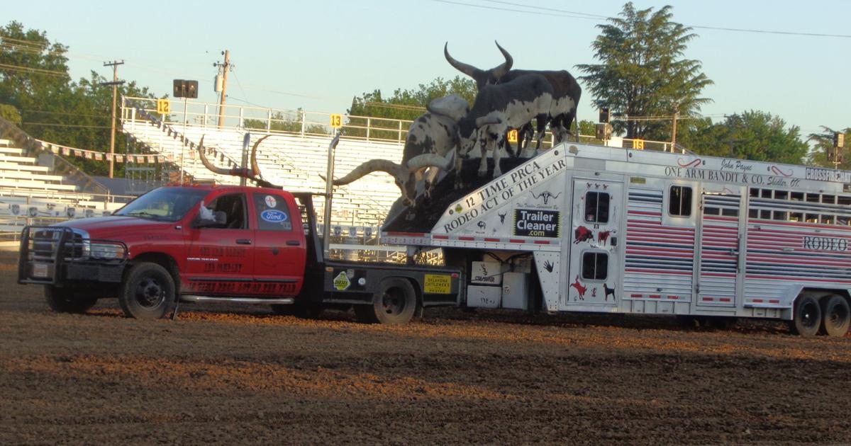 Hamwl Rodeo One Arm Bandit to make Hamel Rodeo wild, western | Free ...